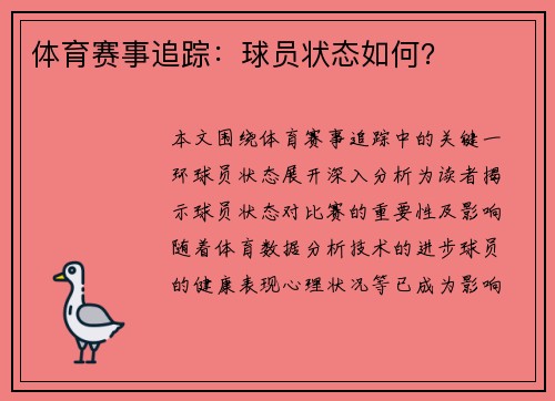 体育赛事追踪：球员状态如何？